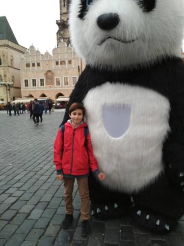 IMG-4494912452776badb6a2af78c4c7c625-V