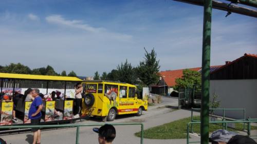 IMG 20190618 093410